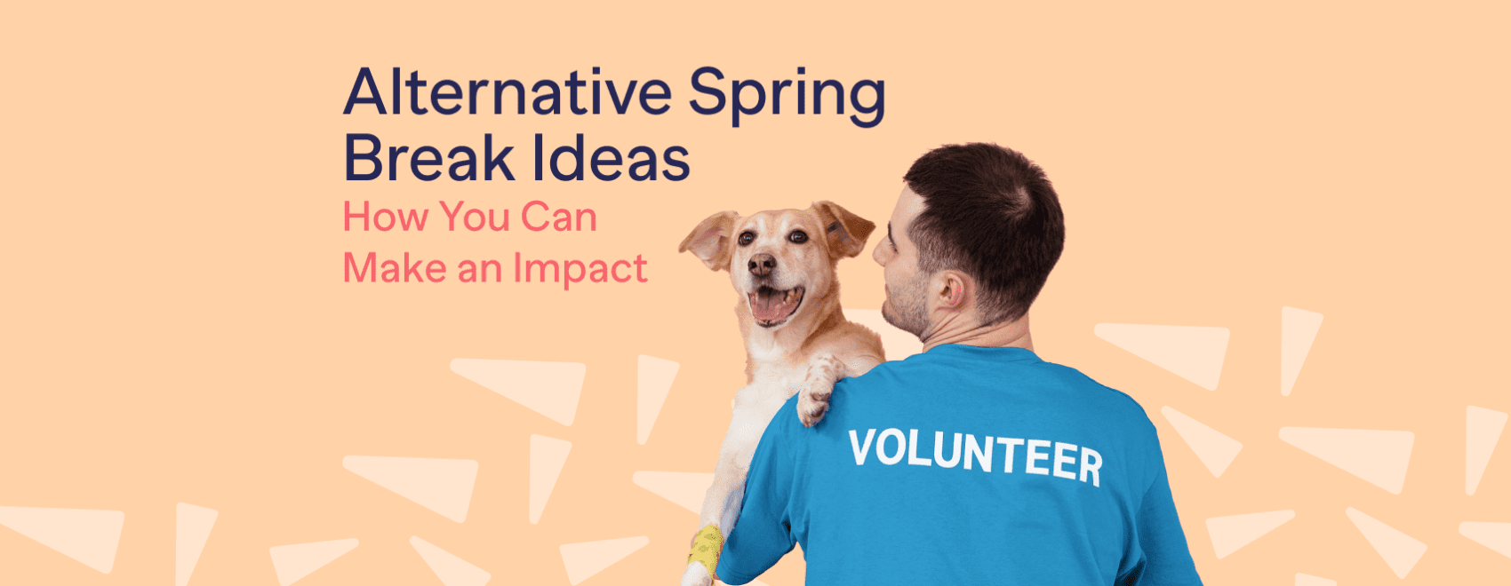 alternative spring break ideas