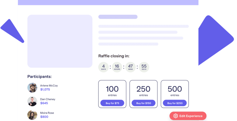 Online Raffles: Insights & Best Practices
