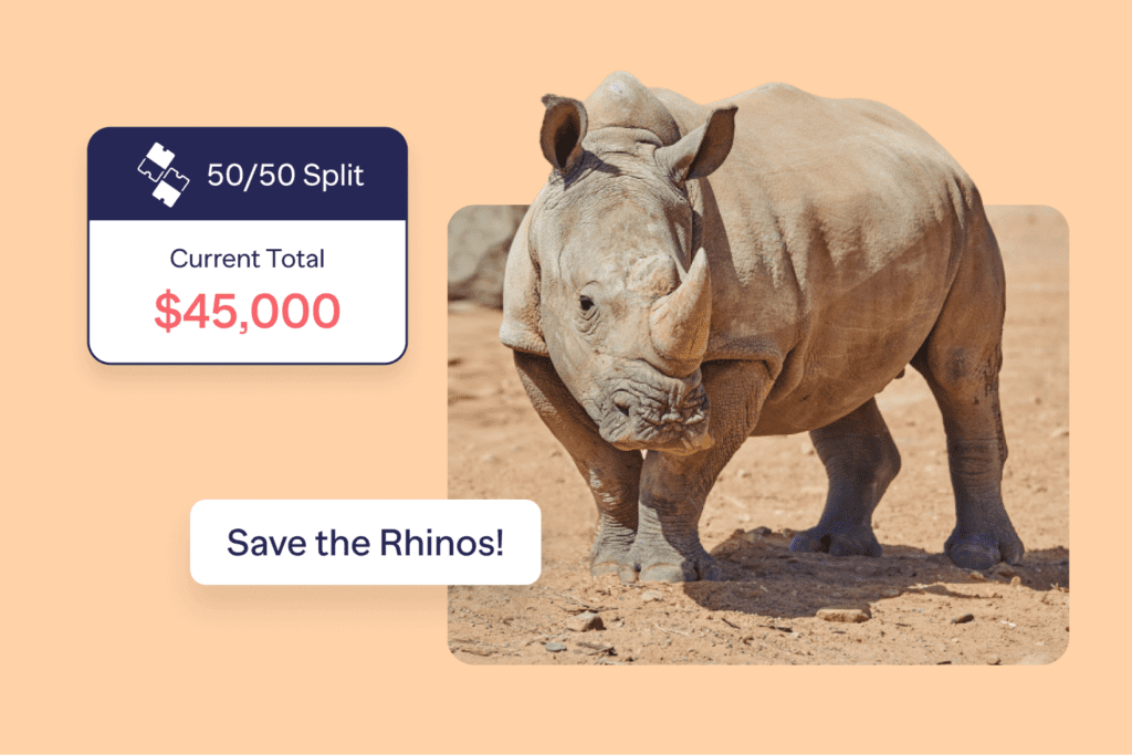 Save the Rhinos raffle fundraiser