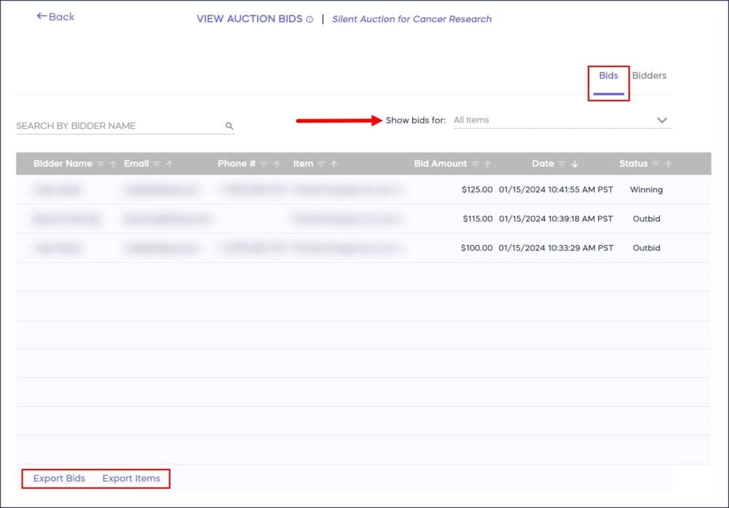 1706898769587 view+auction+bids