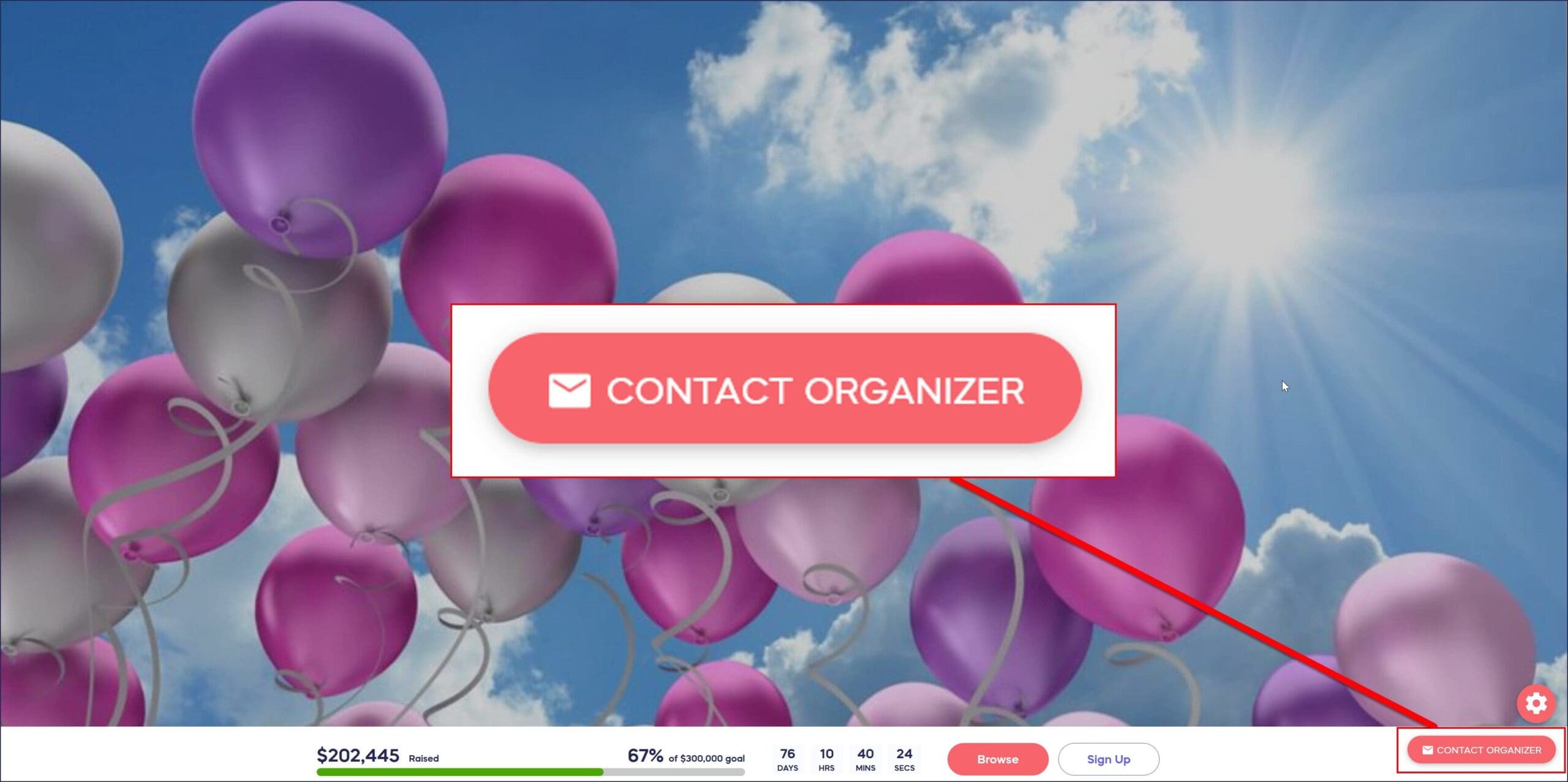 contact organizer button