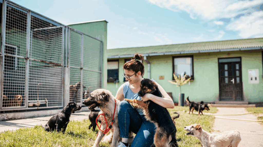 How to Host an Animal Shelter Fundraiser