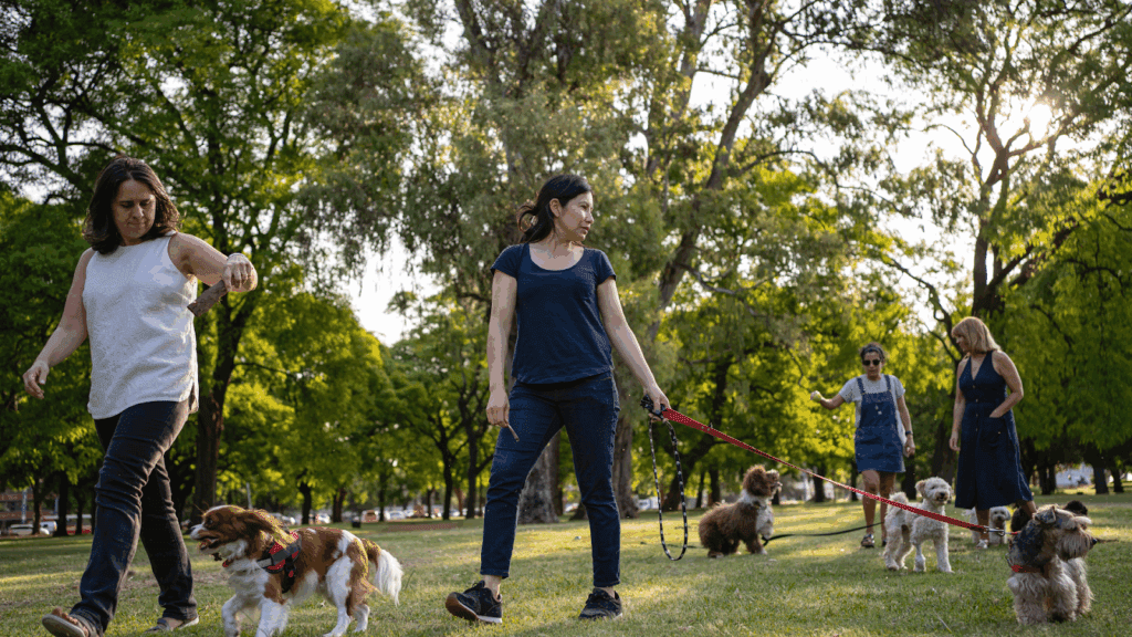 Pet walkathon or rescue run