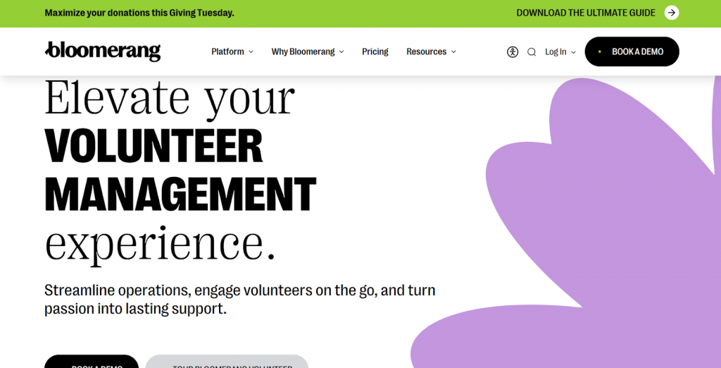 Bloomerang Volunteer
