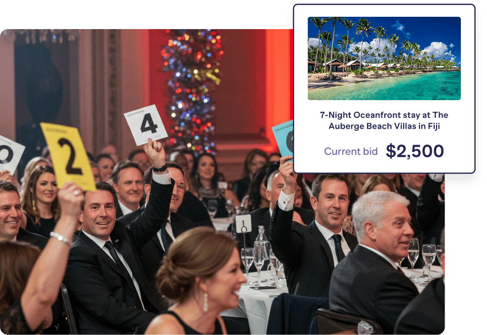 Platform Live Auctions