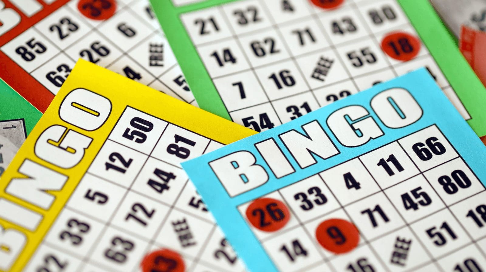 Bingo night 