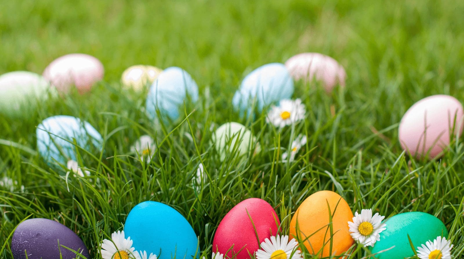 An Easter egg hunt