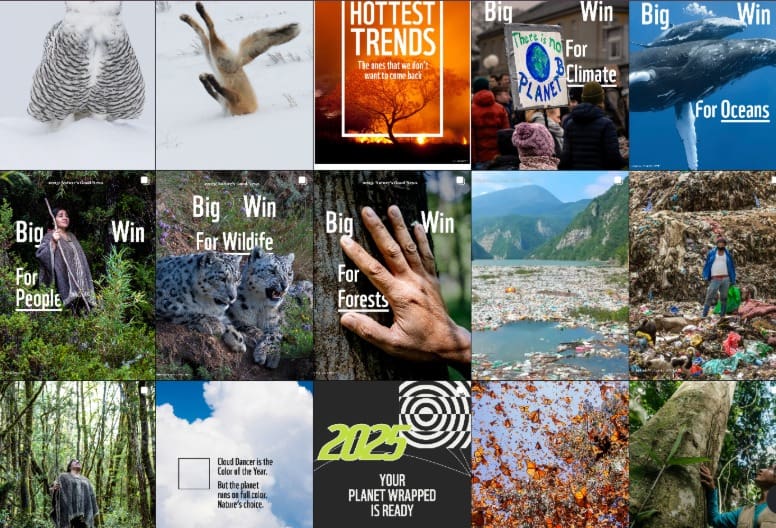 strong nonprofit account has a clear center