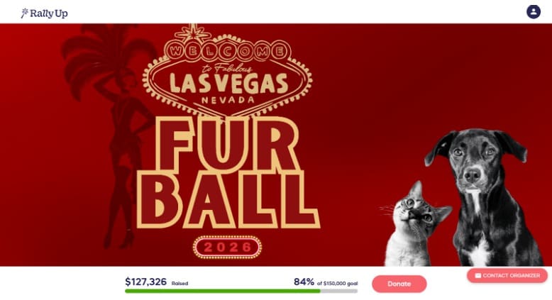 an unforgettable evening bringing together live entertainment