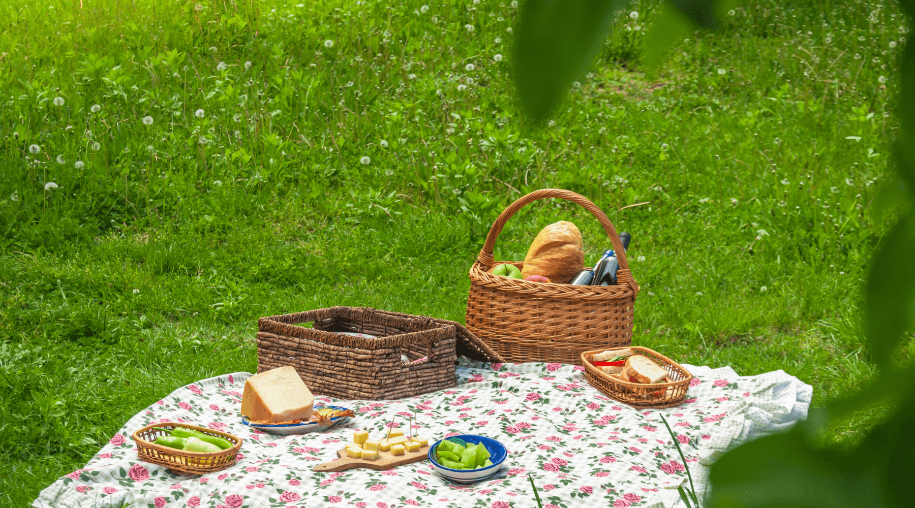 Community picnic day