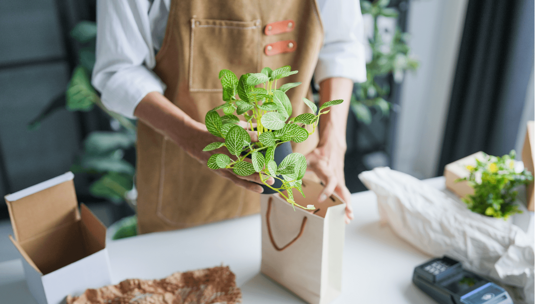 Community plant swap