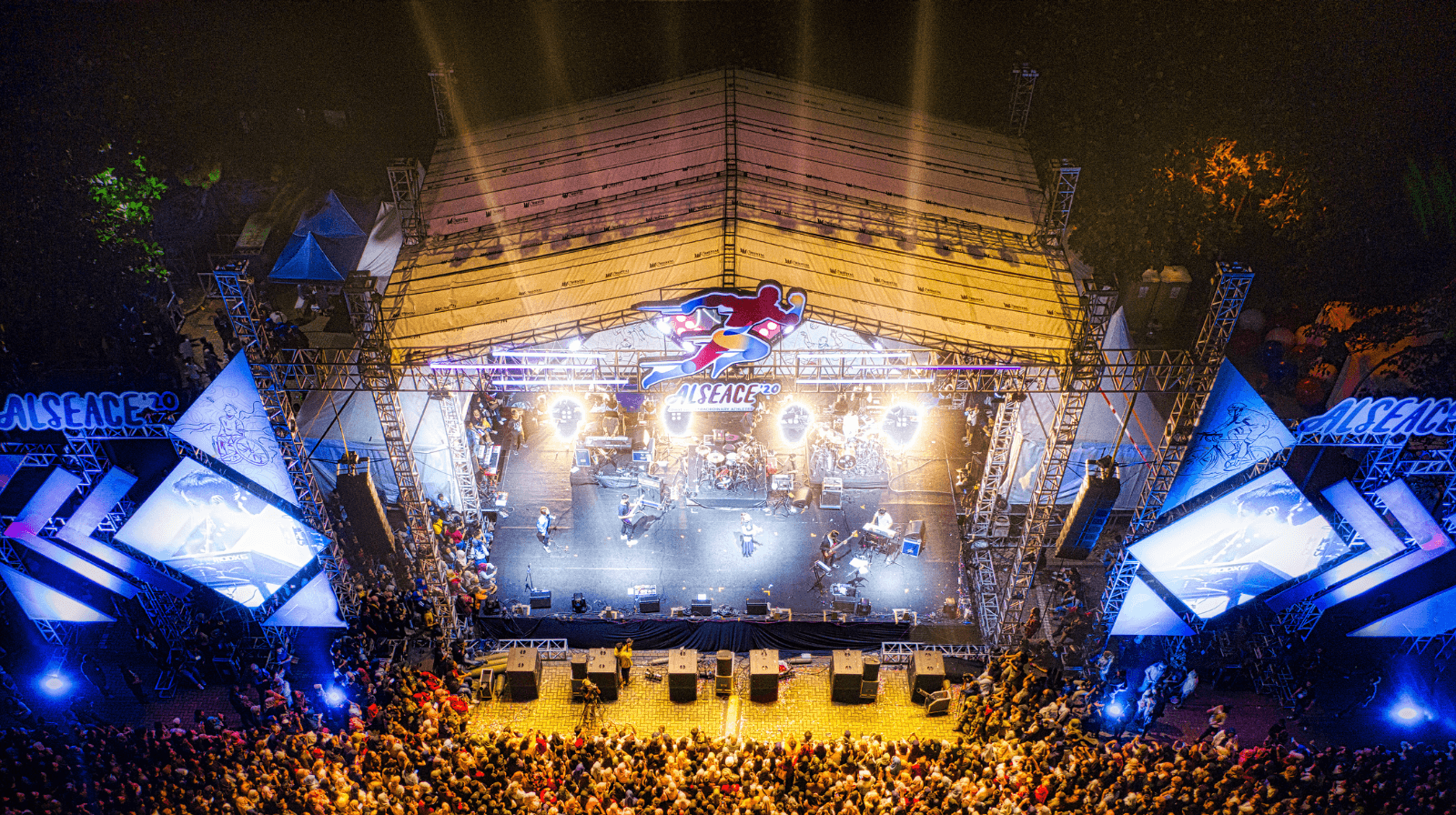 Concert or show tickets