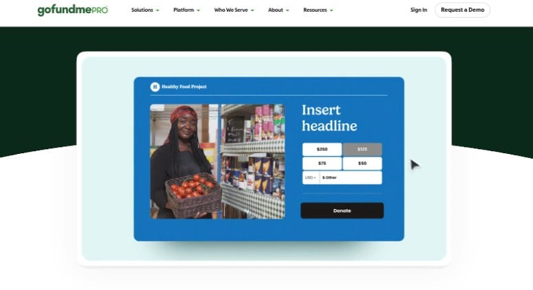 GoFundMe Pro is a fundraising platform