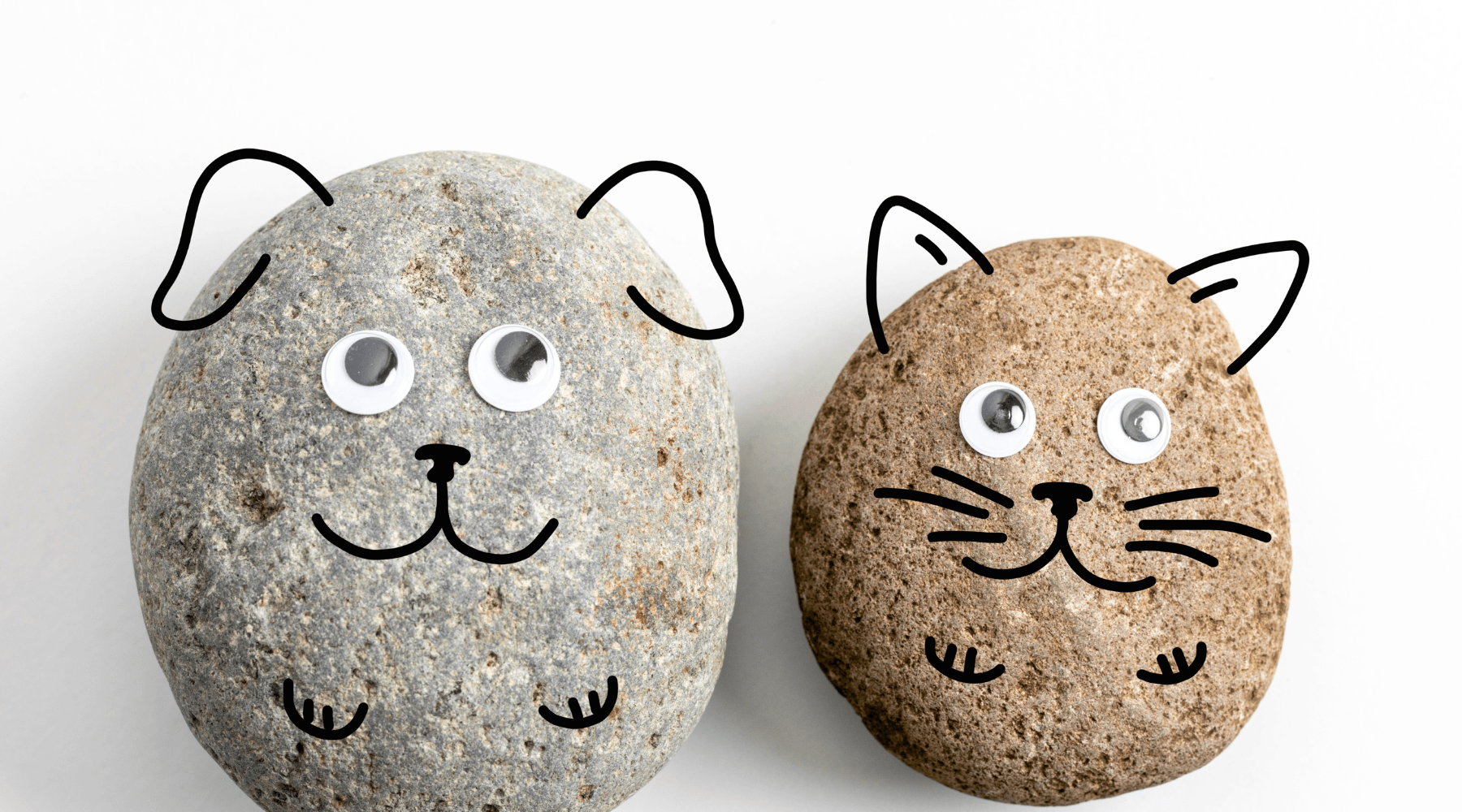 kid-friendly fundraiser idea that brings out kids' artistic side is a pet rock sale