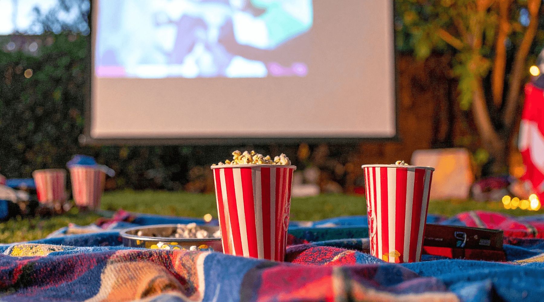 Outdoor movie night

